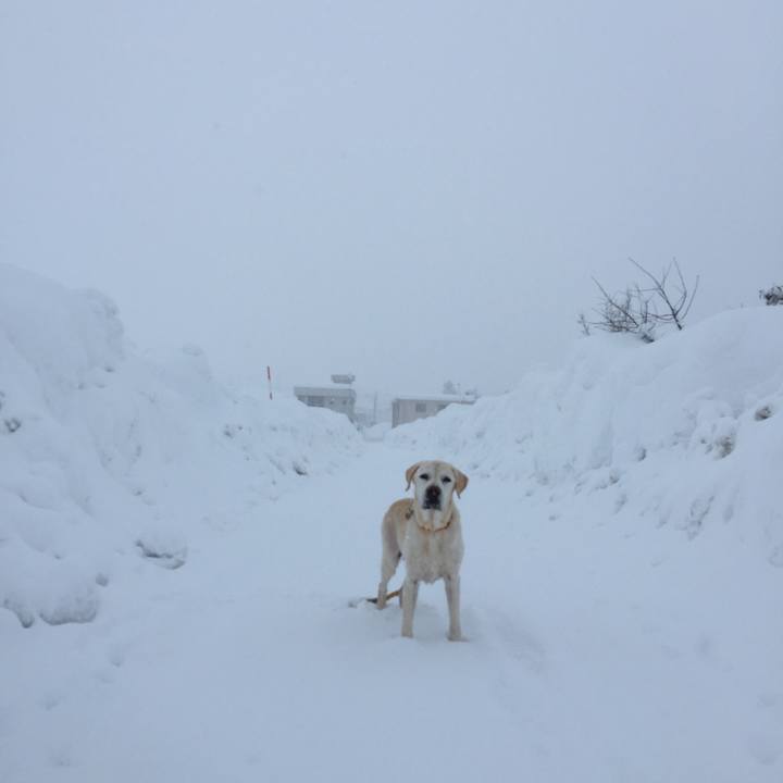 5cb4012f da89 4e44 9efc d7dc9c6e4c5f 1517977670433