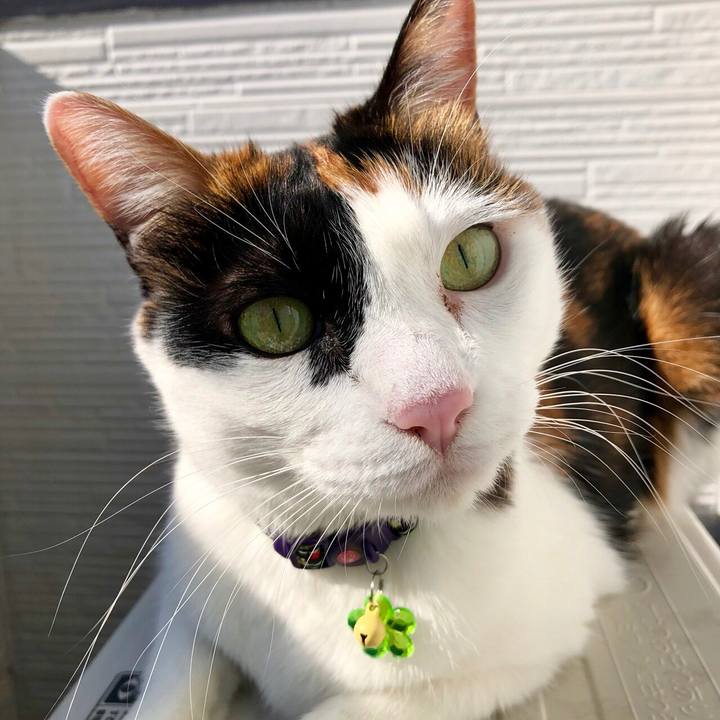 5cb42308 4182 48e8 af2b f0f00b3a3f8b 1512180868410