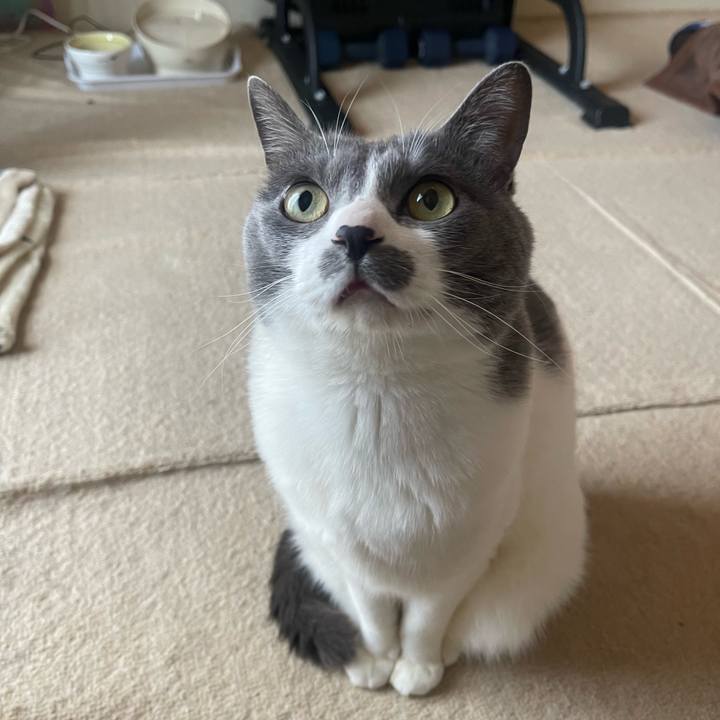 5cb4354d 7052 4401 87f5 3ca3299d79dc 1744755296023