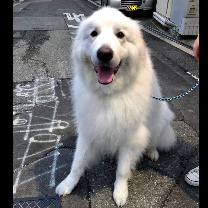 5cb43bcc ff38 49e2 a0b4 8ed867c02fc8 1564229546537