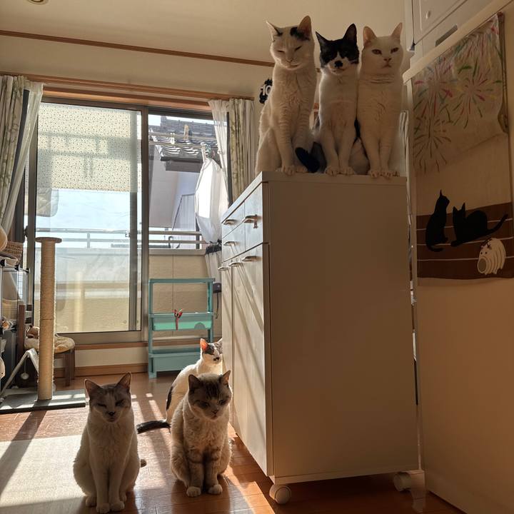 5cb43d12 1465 497c 8ce4 20b4d30ed415 1768613287854