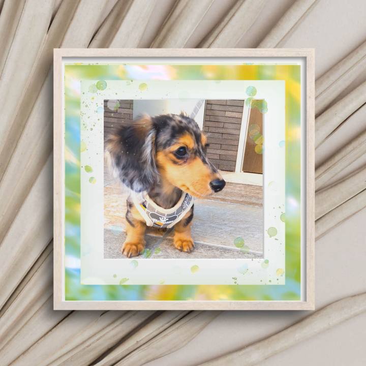 5cb44d2f b52f 4081 bc78 463c122a12b0 1699616589641