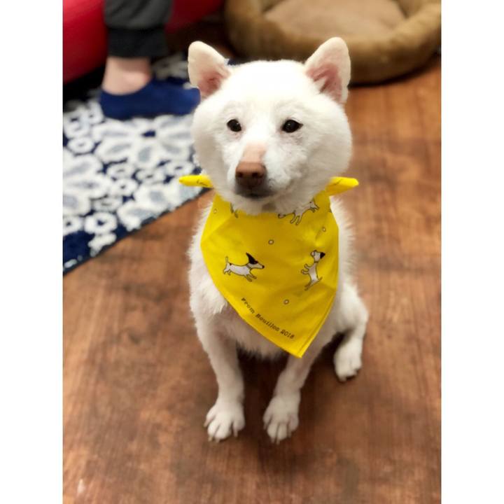 5cb4a24a aeed 4d2e acf5 49c4d7ac9b61 1527252445050