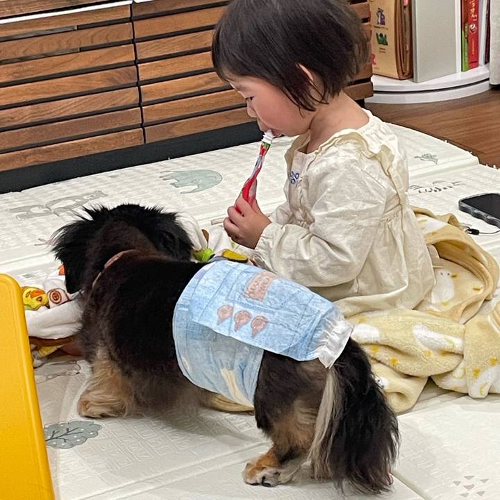 5cb4d4eb 3f83 4861 b349 87c0f350fc61 1766290436731