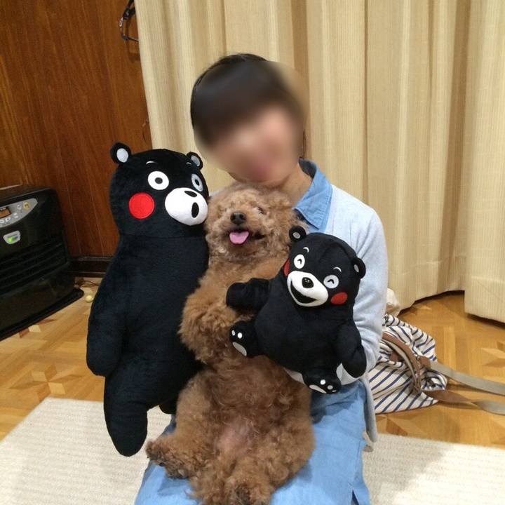 5cb4fceb c014 487b 8f80 b66029bccc66 1550677022318