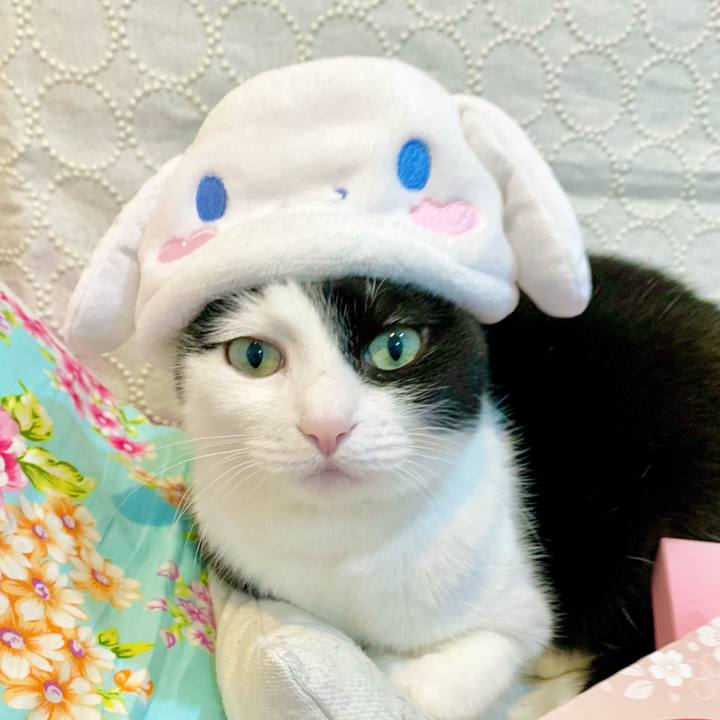 5cb52474 6e97 4dd9 9178 9e07fe38c538 1708295999952