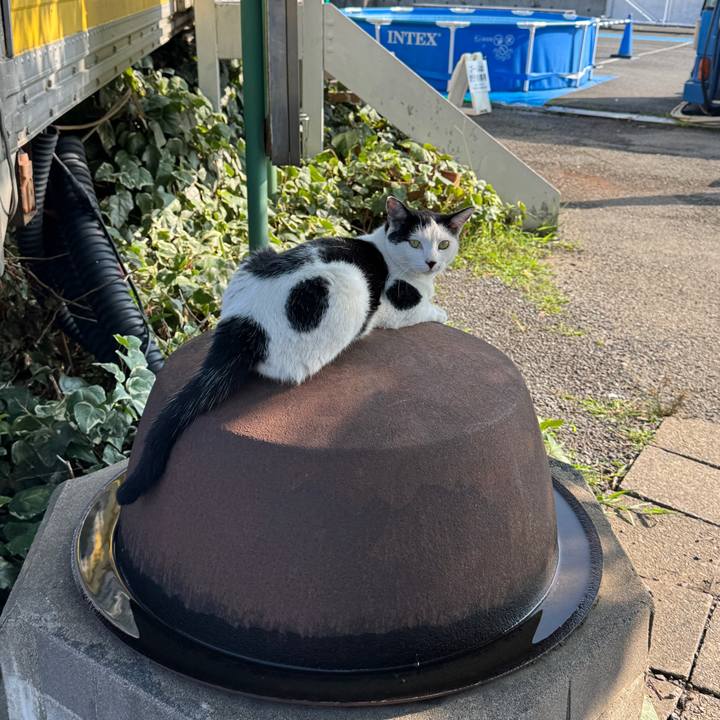 5cb52fc1 c296 4296 ba87 64bfd42beb90 1755573040459