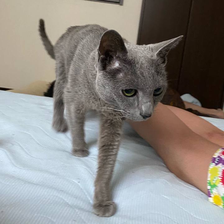 5cb544dc 57f0 468c 873c c9b3d55b724a 1623324521286