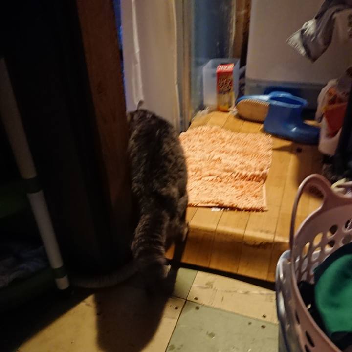 5cb56d8c b947 48e5 b475 460ca588d7fa 1591956531313