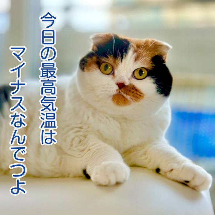 5cb59b99 4b31 4946 abc7 0e62c7083f58 1701304587964