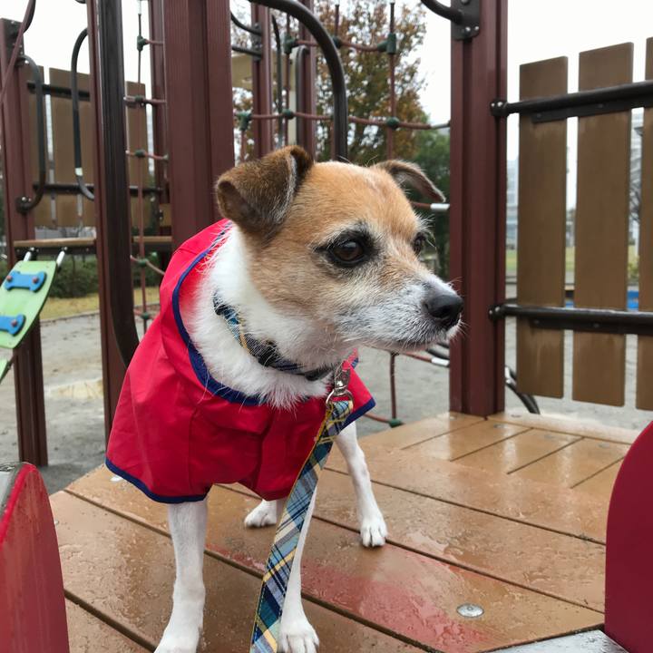 5cb5bb25 868b 461e b5f3 d56045f5d691 1574643037874