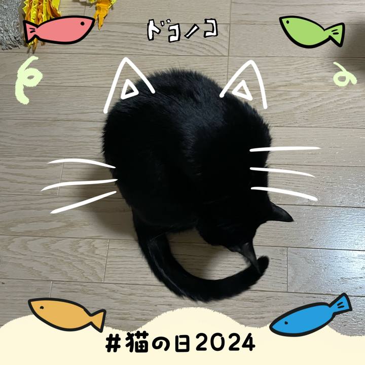 5cb5df5e 6e90 4428 970f e3220c15d7a9 1708590897370