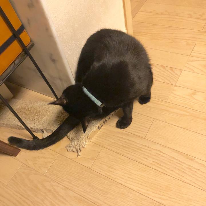 5cb5e2a4 eb4d 4aa4 8ba6 a23e721dd7a8 1579440780846