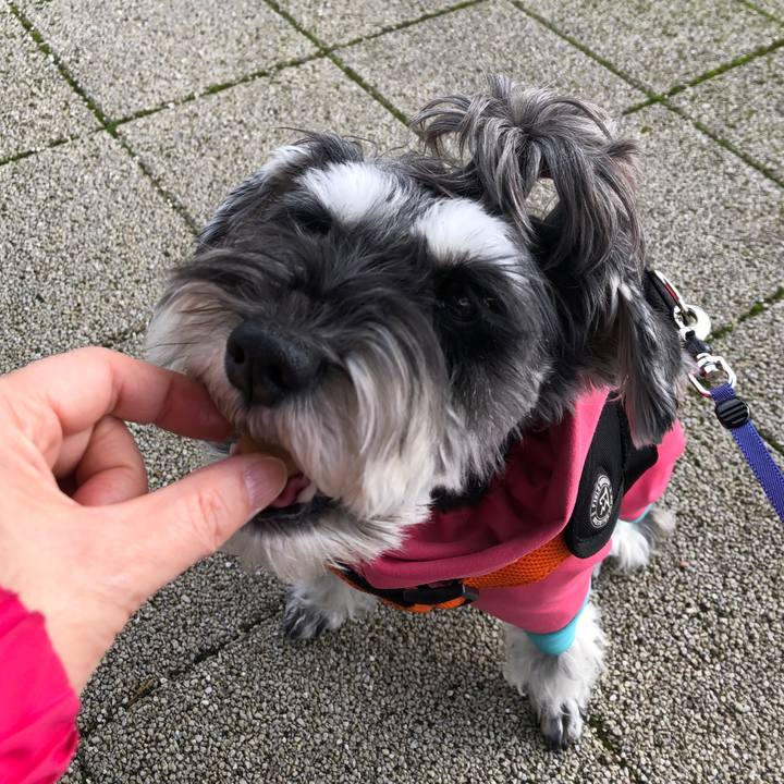 5cb62c47 4e84 4c74 ad4e ea7c5ebd9e3f 1701502528073