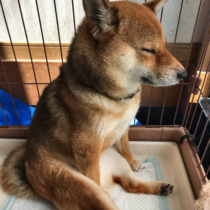 5cb66f7d dafd 4882 ab4c 0e6ba817c388 1526361842019