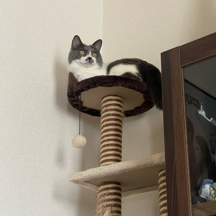 5cb6812e 5198 4ad5 a522 6e7b9846378b 1689915965251