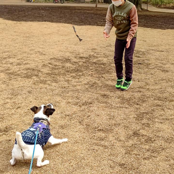 5cb6ad8d 6d47 4c39 8fe3 6eb5226f8843 1645270690468