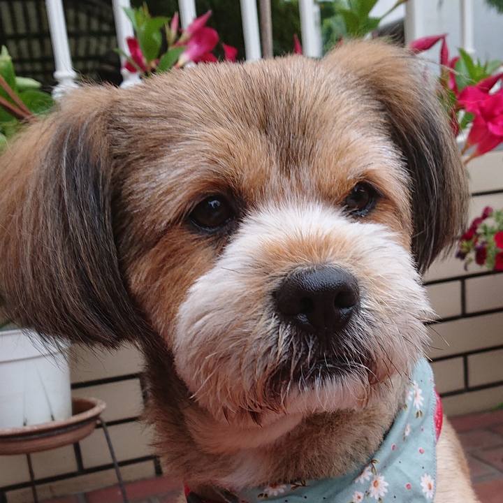 5cb72a4d a987 4a2d a04e 53baabe98e41 1561673327644