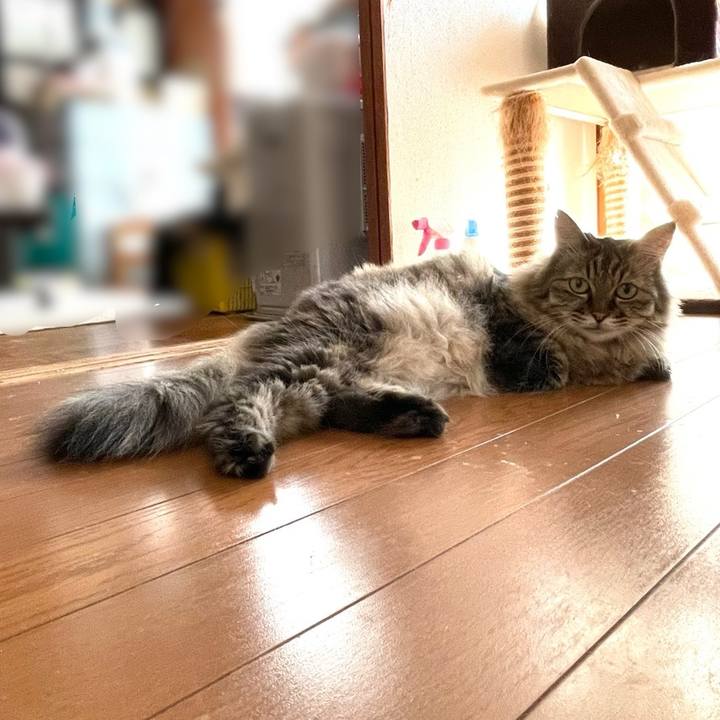 5cb74c3c d257 4a2f 99d4 70696feedf9d 1758951387993