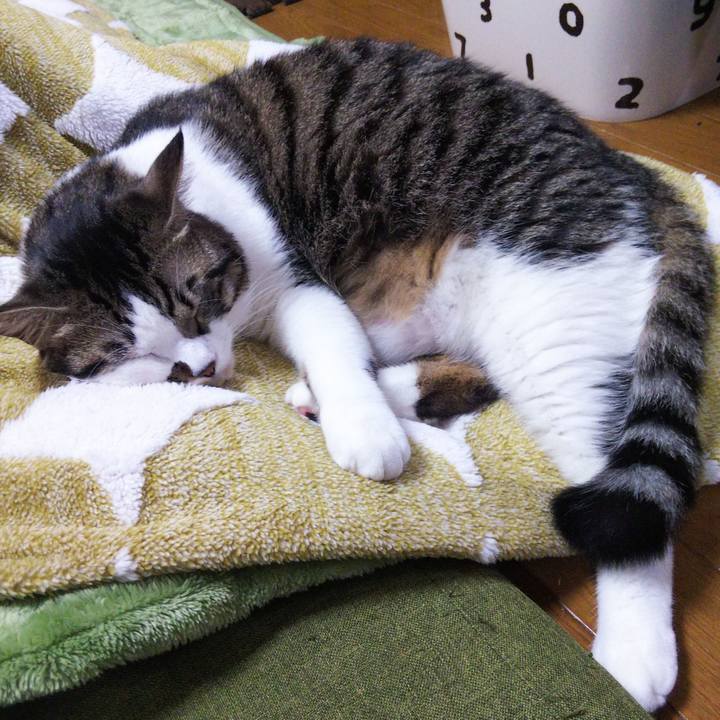 5cb7507f 764b 4d9a b1e8 63f71f28da01 1635933884222