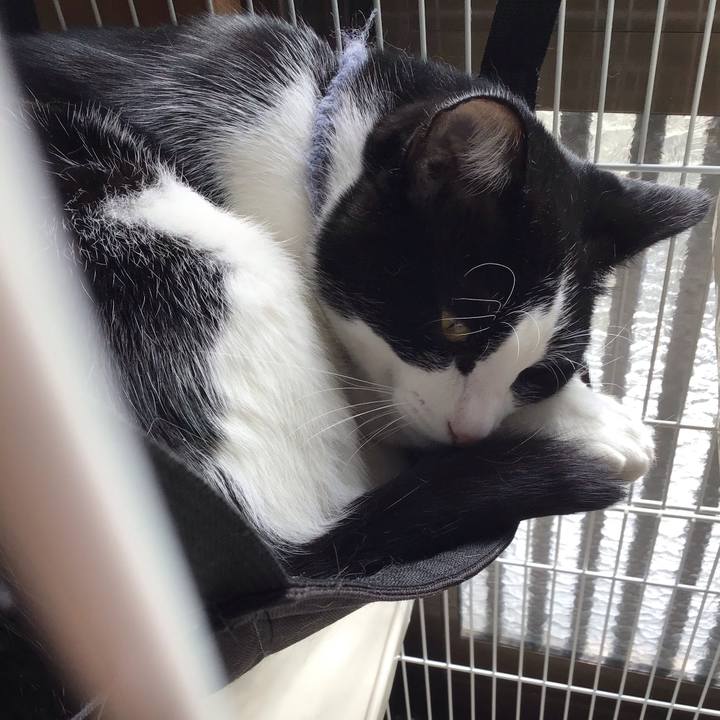 5cb7fc10 d6db 42a4 ab70 f41515cc2f1e 1666871660062