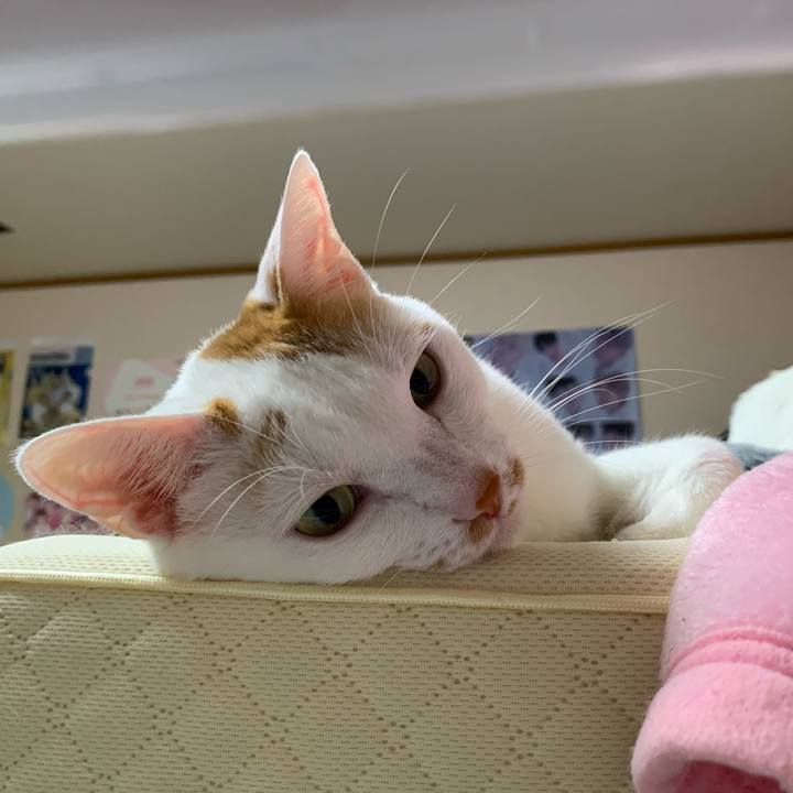 5cb80d88 0dc1 4c82 ad31 cab280a2f14d 1606307207406