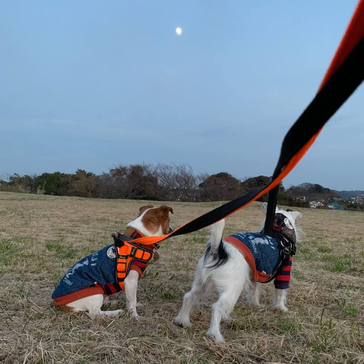 5cb863a8 a743 4e8b ae96 f336f7d834d9 1545294809741