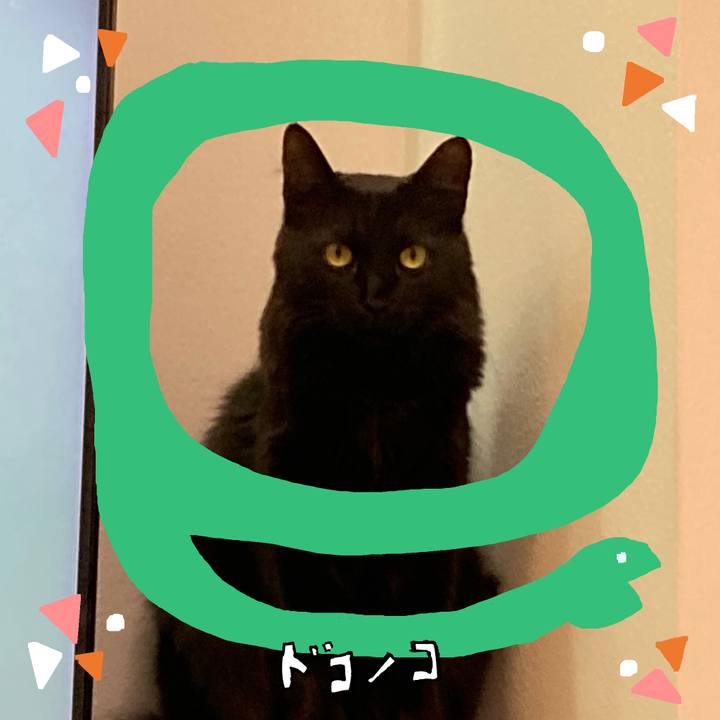 5cb86ca3 463d 4716 99f4 f4f2d91c1830 1741320158715