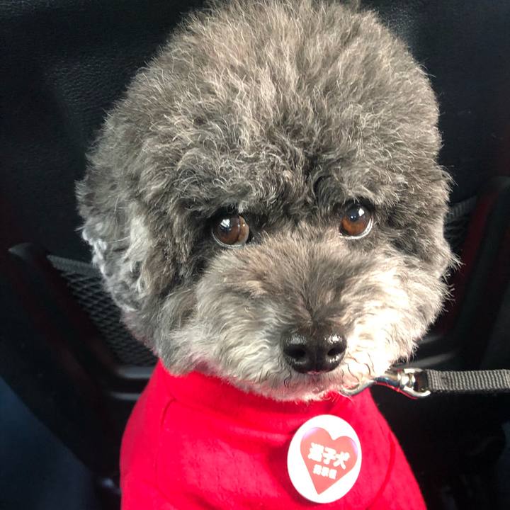 5cb8cb48 7295 437b 8bc4 33f2ed331d65 1583445014883