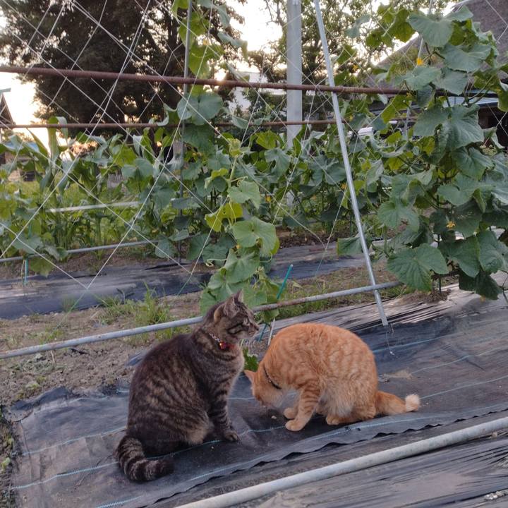 5cb8f87d d641 4faa b489 98c7e6d5353d 1688465732899