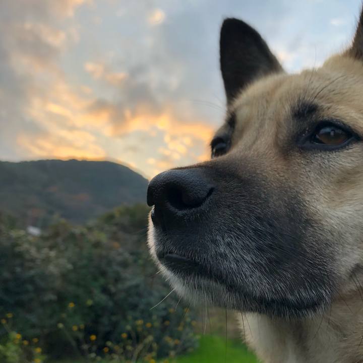 5cb92548 b3b0 4f62 b472 5de3f4a4cd13 1545555916125