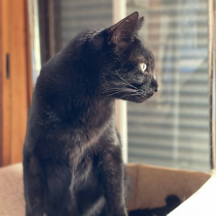 5cb96bdc 77d4 4f5f a556 78d32bbff394 1634438880266