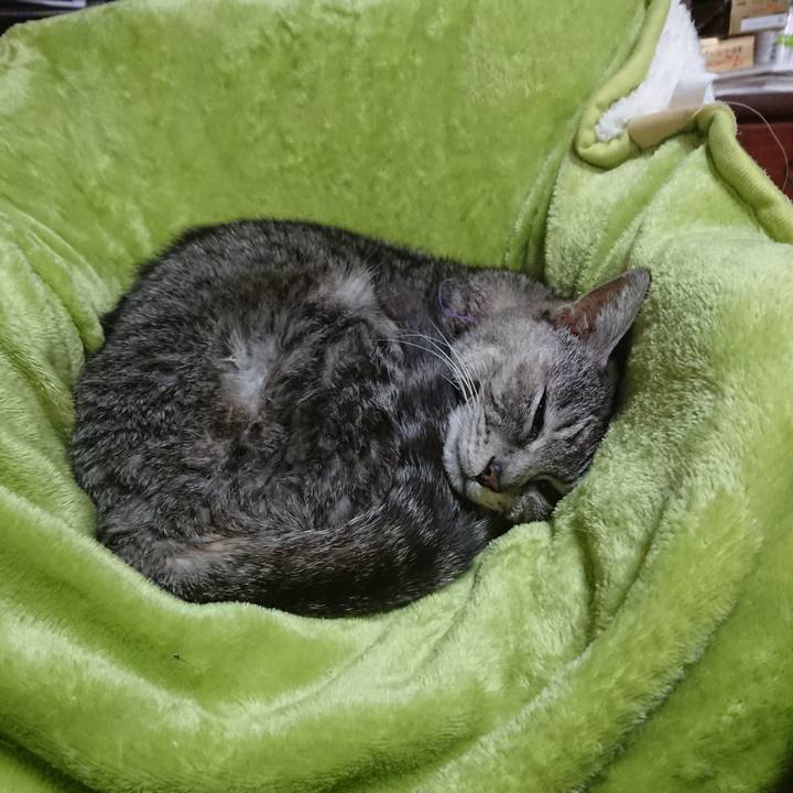 5cb97429 f378 4af1 b364 314fff1bae2f 1582513379278