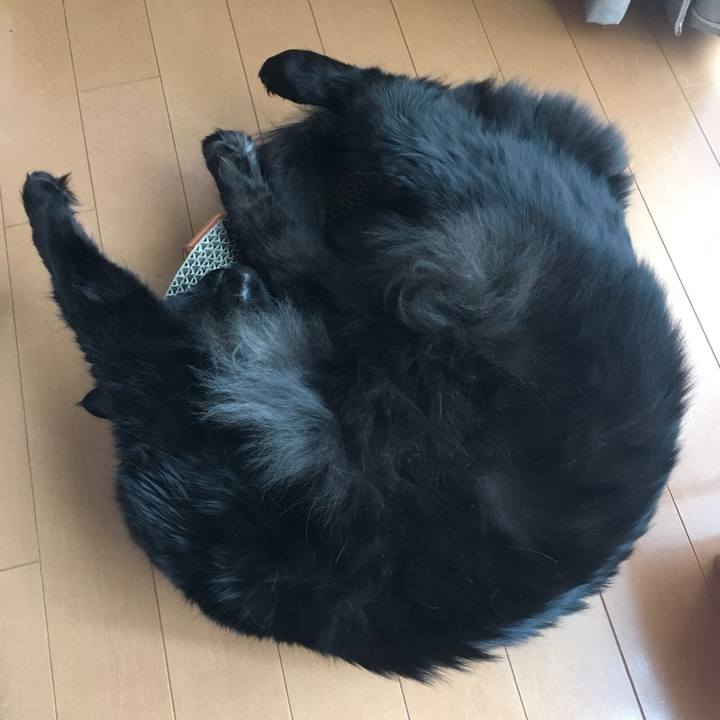 5cb990d3 5b45 46b1 83dd 070508124dcf 1525743380062