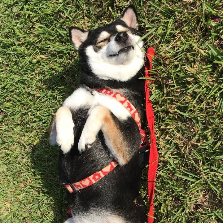 5cb9a54c e711 4198 991c fd2a1a326580 1573369755082