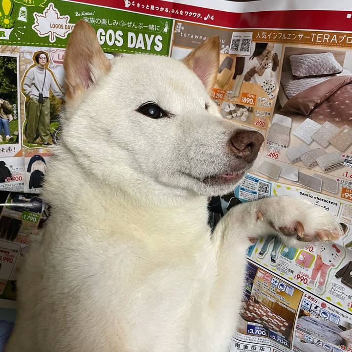 5cb9d7e8 9d45 44b8 88e7 2331261d8ed6 1667286973940