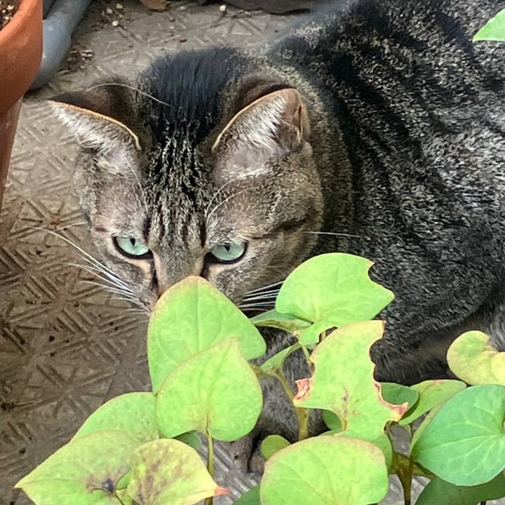 5cba5f8d f605 4d6f 9976 535db6754518 1759619298478