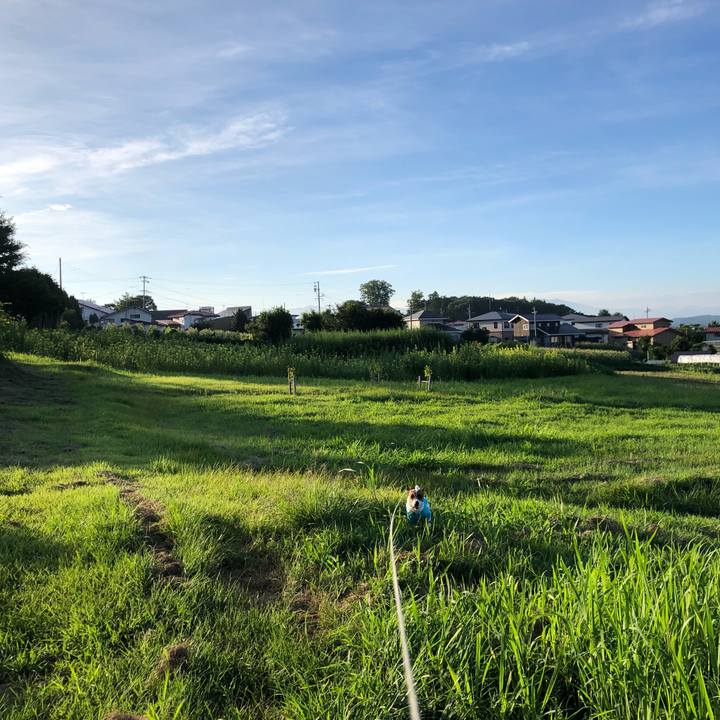 5cba709b 0163 4692 9c5c cfab78ae4f85 1565650810667