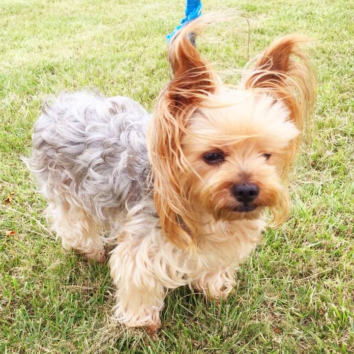 5cba9066 d502 49cd bdfe 9da4283bb68e 1535537128249