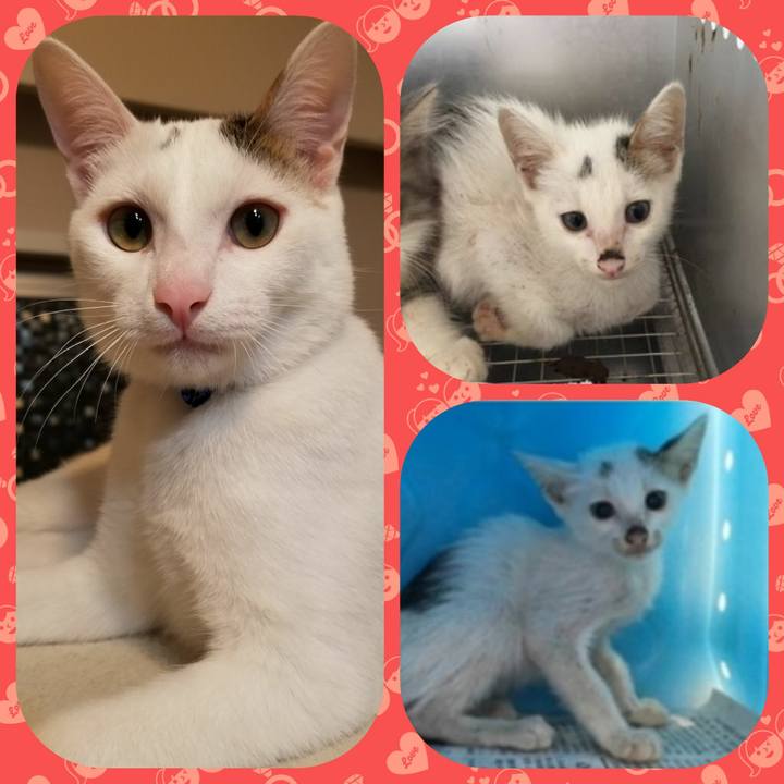 5cba9146 b52f 449d b6f6 c626fe9d0055 1516549375280