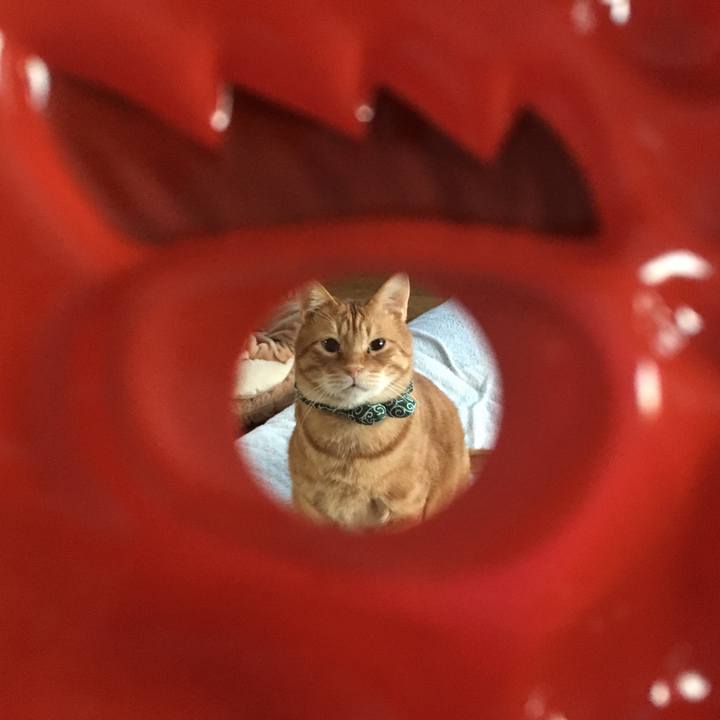 5cbaf27e 0c00 4797 b29b 9dd17681cfb3 1549145460389