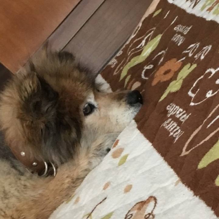 5cbafc24 801c 496b 9583 81b052612dab 1604295314460