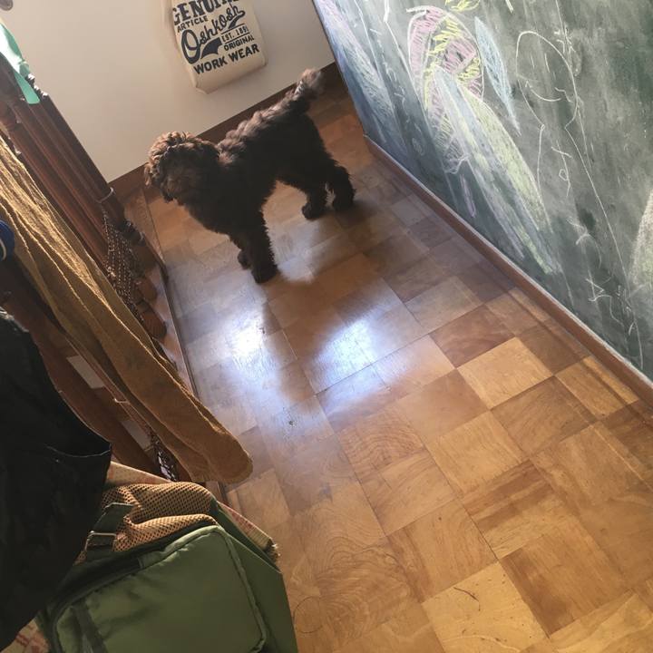 5cbb4b3c 50af 4170 a19d 533833a55923 1544845110790