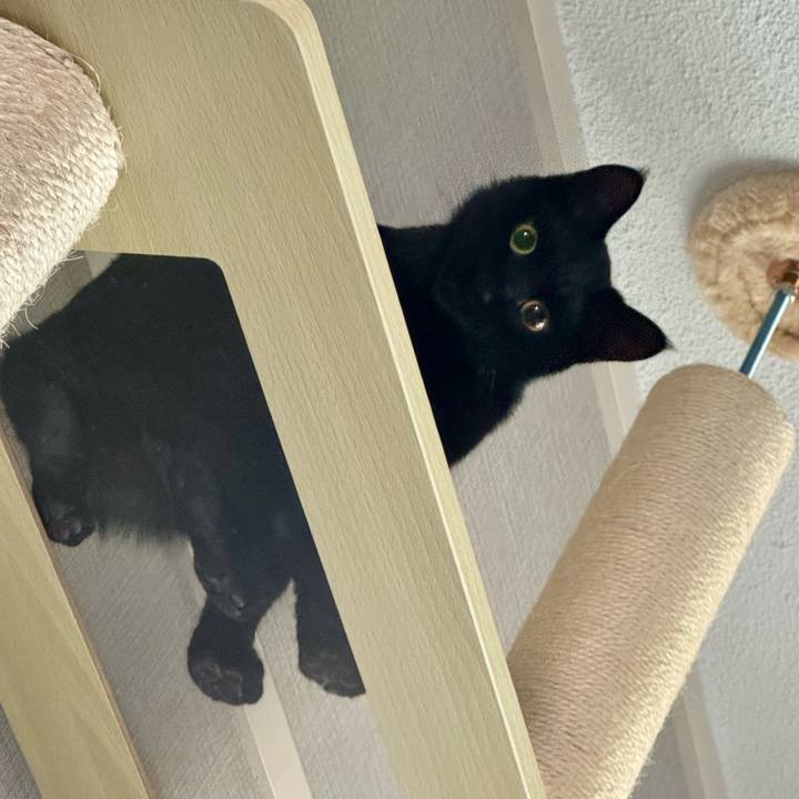 5cbb4fa7 b2d1 47cb 8195 cf627b850e02 1735973554112