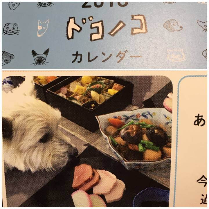 5cbb640b 6d65 408e 83b4 f46b090810e5 1511586716960