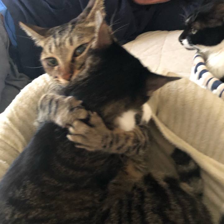 5cbbae3f 4186 421e a7bc 1d6205e4ef9d 1572194747547