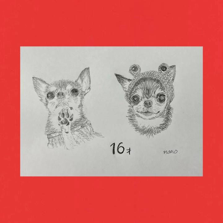 5cbbc496 928c 4e22 ac15 a50b454948d6 1663792425285