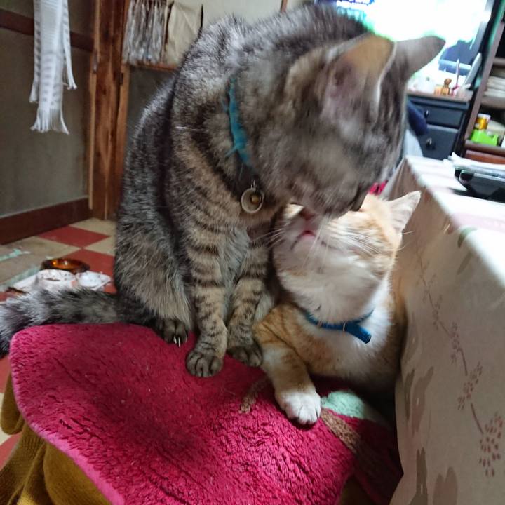 5cbbc4b7 a4b8 4dba bf6c 4449f87d78e1 1555926939116