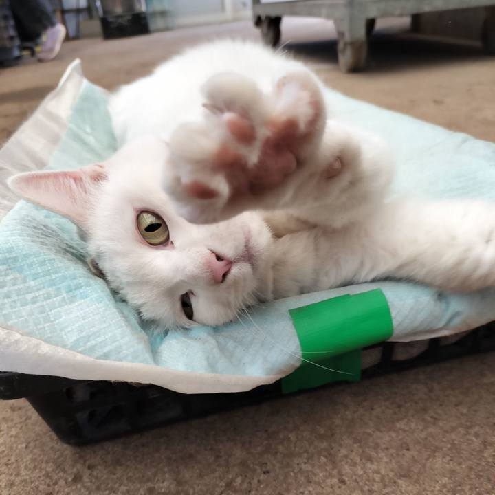 5cbbd899 8a09 421a 8b01 673621972599 1767843810710