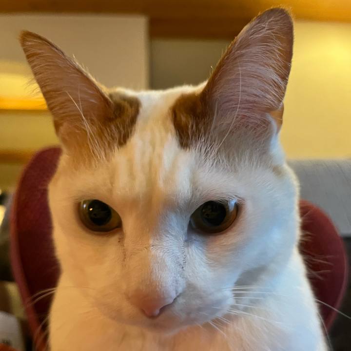 5cbbee1b ab28 4738 98e8 2d1c7c797351 1770990720124